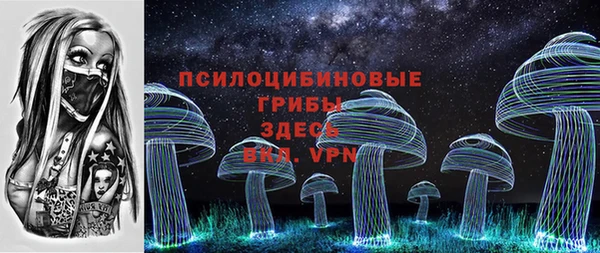PSILOCYBIN Пересвет
