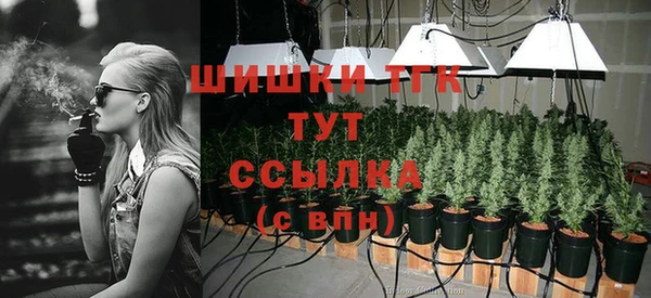 хмурый Покров