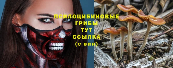 хмурый Покров